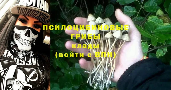 дурь Верхнеуральск