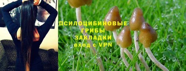 синтетический гашиш Верхний Тагил