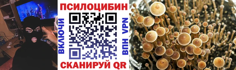 Купить закладки  Баймак  Галлюциногенные грибы мицелий 